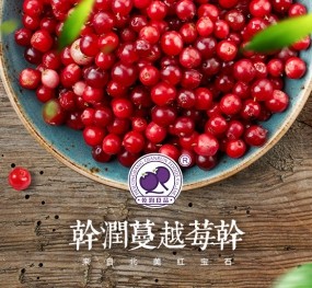 案例展示